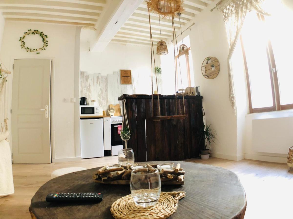 Apartament Le Bali, T2, Hyper Centre Mâcon Zewnętrze zdjęcie